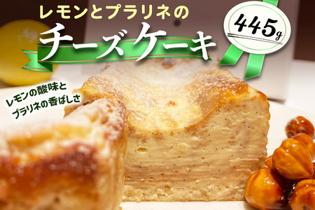 レモンとプラリネのチーズケーキ [2320]