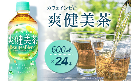 爽健美茶 600mlPET_24本入り×1ケース｜ 無糖茶 カフェインゼロ