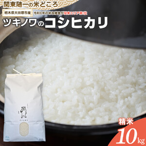 【令和7年産】ツキノワのコシヒカリ 精米 10kg ｜お米 白米 ご飯 コメ 栃木県 大田原市 