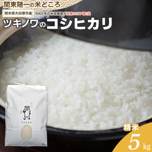 【令和7年産】ツキノワのコシヒカリ 精米 5kg ｜お米 白米 ご飯 コメ 栃木県 大田原市