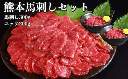 熊本 馬刺し 約500g セット （赤身 約300g ユッケ 約200g） 醤油・生姜付き 馬肉 お肉 肉 肉刺し 赤身肉 生肉 生食 国内肥育 食品 ヘルシー 熊本県 熊本市 冷凍