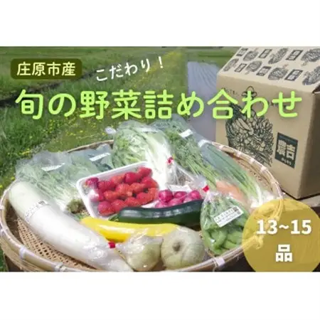 庄原産「旬の野菜」詰め合わせ箱【配送不可地域：離島】【1345756】