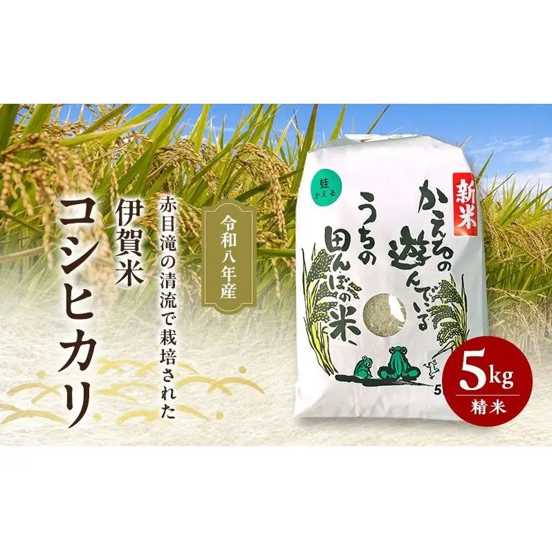 赤目滝の清流で栽培された 令和8年産 伊賀米コシヒカリ 5kg 3年連続 特A 米 こしひかり ご飯 ごはん 白米 精米 三重県 名張市