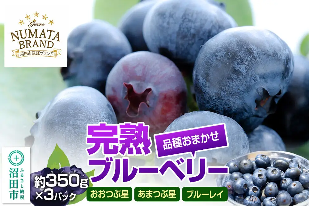 《6月下旬～7月下旬発送》品種おまかせ 完熟ブルーベリー 約350g×3パック 林ブルーベリー園