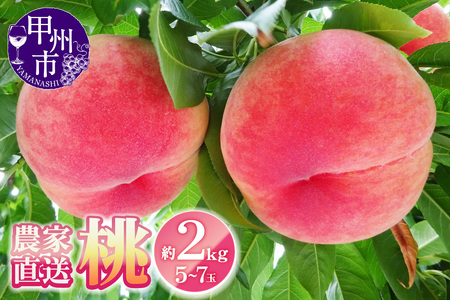 農家直送 桃 約2kg 5～7玉【2026年発送】（YKI）B-990 【桃 もも モモ 令和8年発送 期間限定 山梨県産 甲州市 フルーツ 果物】