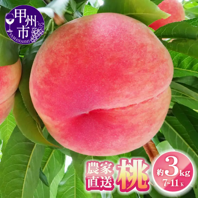 農家直送 桃 約3kg 7～11玉【2026年発送】（YKI）B15-990 【桃 もも モモ 令和8年発送 期間限定 山梨県産 甲州市 フルーツ 果物】