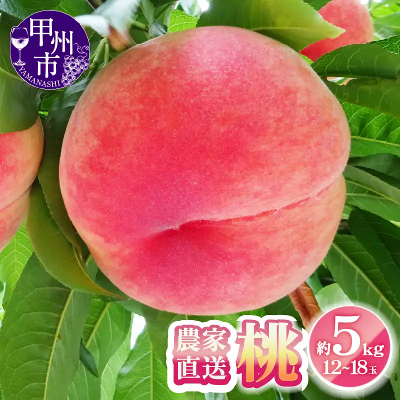 農家直送 桃 約5kg 12～18玉【2026年発送】（YKI）C5-990 【桃 もも モモ 令和8年発送 期間限定 山梨県産 甲州市 フルーツ 果物】