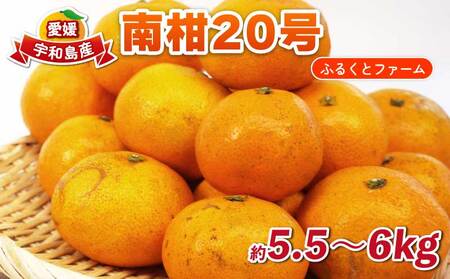 南柑20号 5.5kg ～ 6kg サイズミックス ふるくとファーム  かなこちゃんち 温州みかん 温州みかん B015-037009