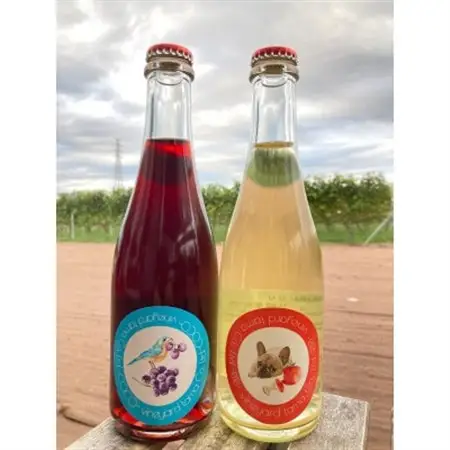 甘味果実酒　2本セット【配送不可地域：離島】【1449504】