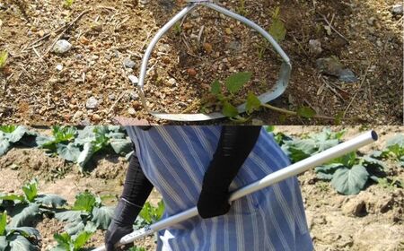 手取り除草機　Qホー（17cm）　《足寄町》【株式会社キュウホー】[BEBH001]