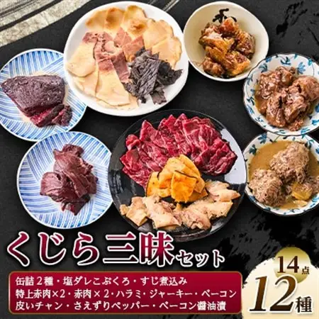 くじら三昧12種詰め合せセット【配送不可地域：離島】【1512643】