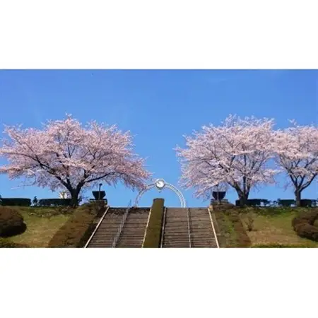西多摩霊園　墓地購入(契約)のご利用券(450,000円分)【1515912】