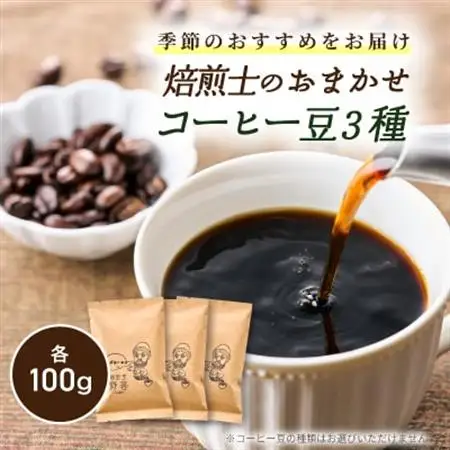 自家焙煎!季節のおすすめコーヒー豆(100g×3パック)【1571145】