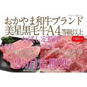 【定期便2か月】　岡山　黒毛和牛　美星牛　A４等級以上　牛脂付き　お試し定期便 合計約８００g（サーロイン約４００ｇしゃぶしゃぶすき焼き用約４００ｇ）生産者直送便  美星牧場　定期便