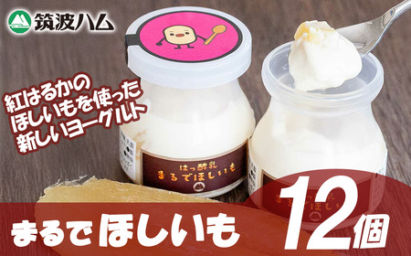 ヨーグルト 筑波ハム まるでほしいも 3個×4箱 ヨーグルト