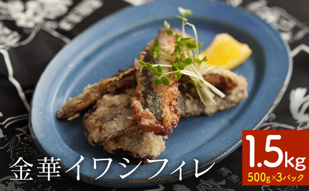 訳あり 金華 イワシ フィレ 1.5kg ( 500g × 3P ) 宮城県産 いわし 鰯 フィーレ 冷凍 魚 青魚 切身 わけあり 規格外 ご家庭用 国産 鰯フィレ イワシフィーレ 切り身 バラバラ冷凍 宮城県 石巻市