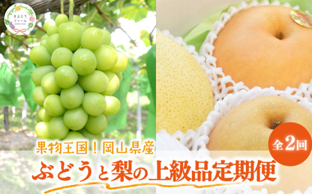 シャインマスカットと梨詰め合わせ2-3種が届く！ぶどうと梨の定期便(岡山県産) 2026年先行予約 【KF-T053-03】