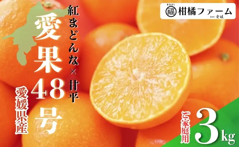 【2027年先行予約】愛果48号 3kg 訳あり ご家庭用 【2027年3月上旬発送予定】 農園直送 みかん 愛媛 人気 数量限定 柑橘 伊予市｜B444