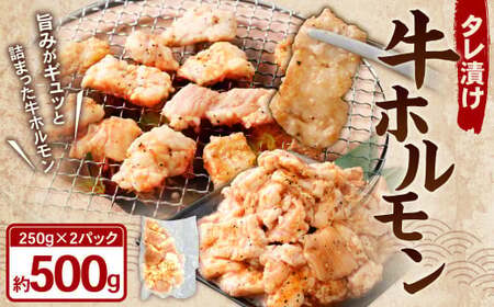 タレ漬け 牛ホルモン 250g×2パック （計500g） 牛肉 牛 お肉 肉 たれ タレ ホルモン 焼き肉 焼肉 小分け 冷凍
