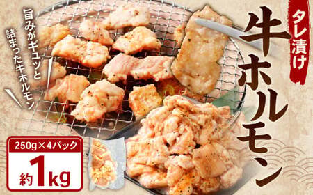 タレ漬け 牛ホルモン 1.0kg （250g×4パック） 牛肉 牛 お肉 肉 たれ タレ ホルモン 焼き肉 焼肉 小分け 冷凍