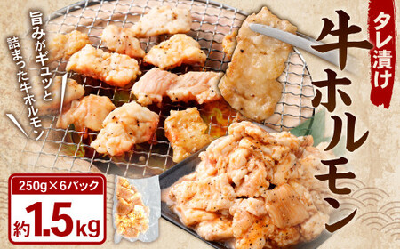 タレ漬け 牛ホルモン 1.5kg （250g×6パック） 牛肉 牛 お肉 肉 たれ タレ ホルモン 焼き肉 焼肉 小分け 冷凍