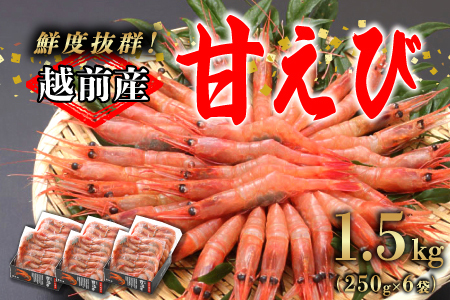 【小分け】越前産冷凍甘えび 約250g × 6パック 合計約1.5kg