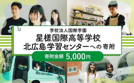【お礼の品なし】 北広島市私立養育機関支援 (学校法人国際学園星槎国際高等学校北広島学習センター ) 【寄付金額￥5,000】