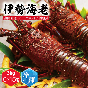 【漁師直送／活〆冷凍】伊勢海老（3kg／6～15尾）（KBL-20)