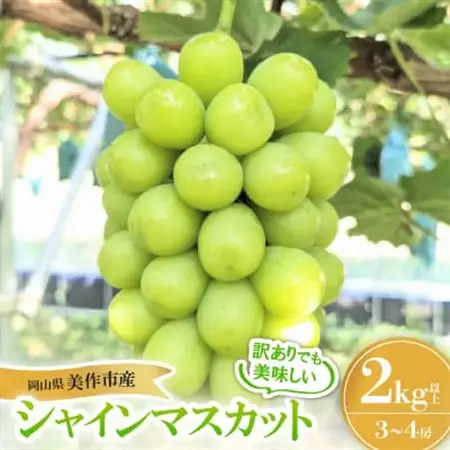 【訳あり】シャインマスカット 2Kg【配送不可地域：離島】【1631232】