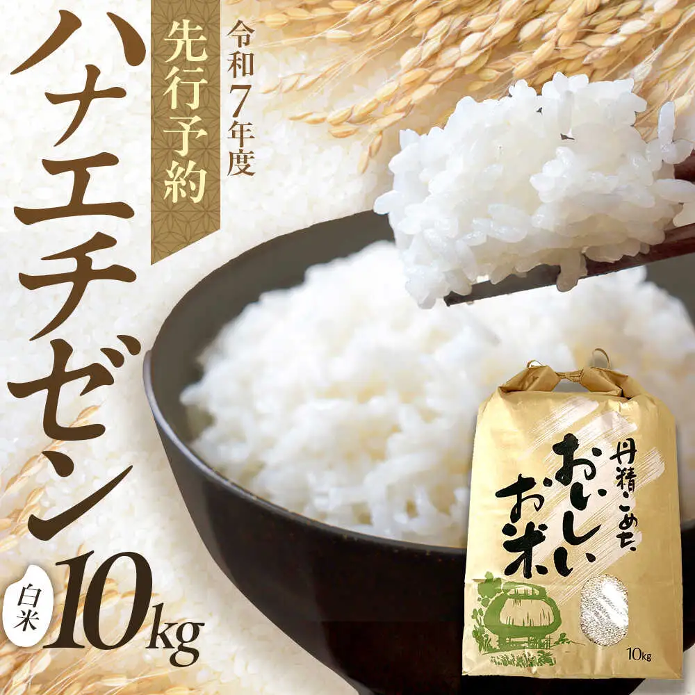 【令和8年産 新米】 【先行予約 / 8月下旬より順次発送 】 ハナエチゼン 白米 10kg / 米 お米 精米 小浜市 / 北川博司 [BFDG004]