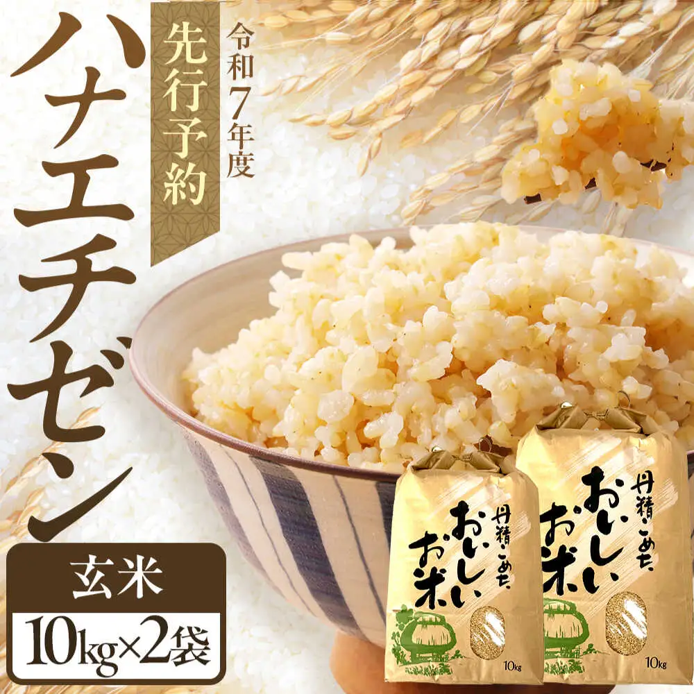【令和8年産 新米】 【先行予約 /8月下旬より順次発送 】 ハナエチゼン 玄米 10kg×2 （20kg） / 米 お米 健康 小浜市 / 北川博司 [BFDG005]