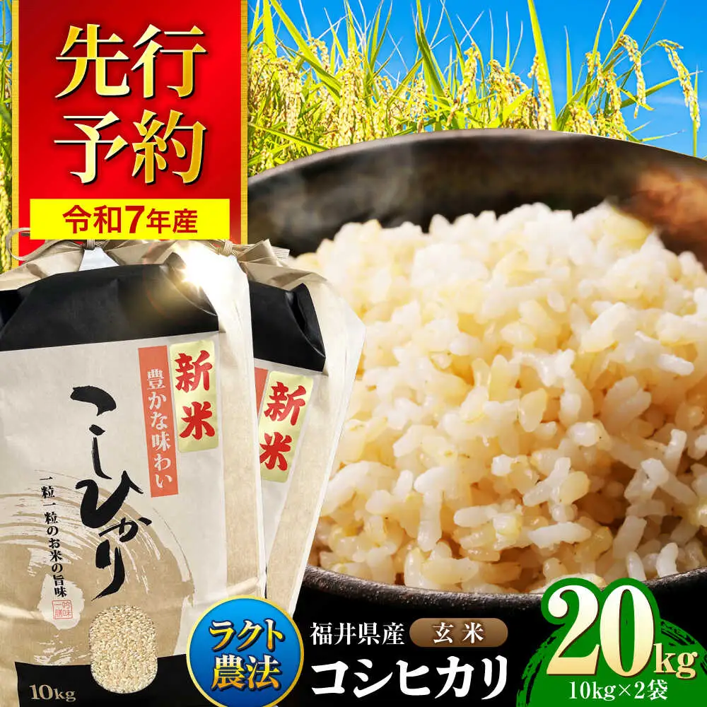 【令和8年産 新米】 【 先行予約 /9月中旬から発送】　福井県産 ラクト農法 コシヒカリ 玄米 10kg×2 （20kg）/ 米 お米 精米 国産米 /  小浜市 / 北川博司 [BFDG007]