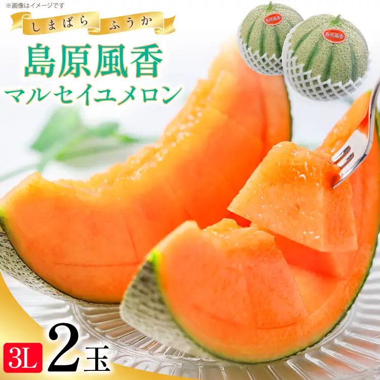 BD201【令和8年度出荷分】マルセイユメロン～島原風香～（3L×2玉） [長崎県 島原市] 