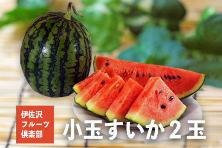 【2026年発送】伊佐沢フルーツ倶楽部の小玉すいか2玉_H098(R8)