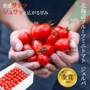 2026年発送 先行予約 金賞受賞 北海道フルーツミニトマト【ジェルバ】1.2kg【Farm of Soul】2023野菜ソムリエサミット金賞 先行受付 トマト とまと ミニトマト 野菜 高糖度 甘い 北海道 比布町 ぴっぷ 1010-001