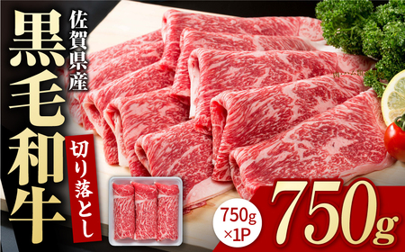 佐賀産和牛 牛肉切り落とし 750g / 牛肉切り落とし [IAG208]