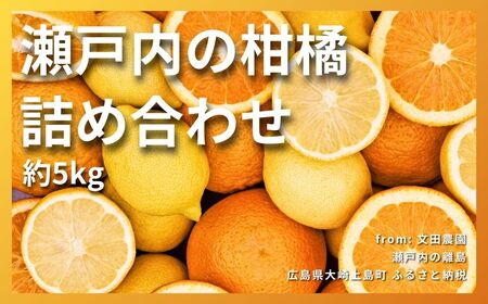 文田農園 の 柑橘 詰め合わせ 約5kg 7~8種 【2027年2月中旬発送開始】 