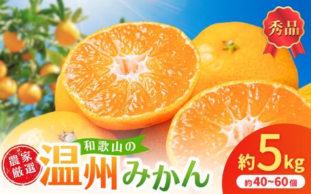 和歌山県産温州みかん　秀品　約5kg（約40個～60個入）【先行予約】【2026年11月上旬頃から12月中旬頃順次発送予定】| みかん フルーツ 果物 柑橘 和歌山【kgr032A】