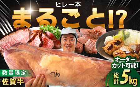 厳選佐賀牛ヒレ1本5kg / 有限会社片岡精肉店 [41AEAC013]