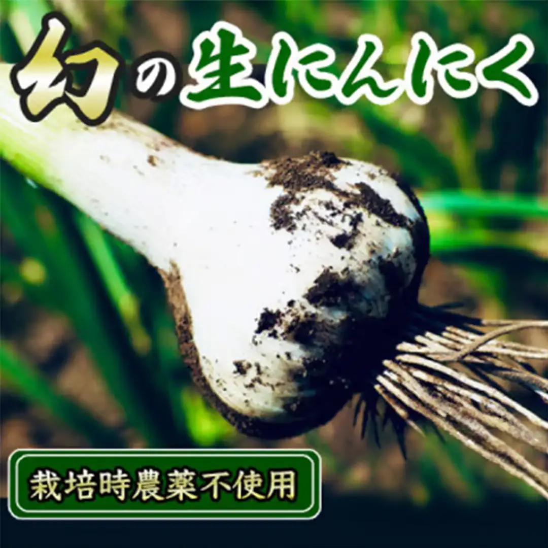 ＼期間限定／採りたて 生にんにく 1.2kg (BJ018)