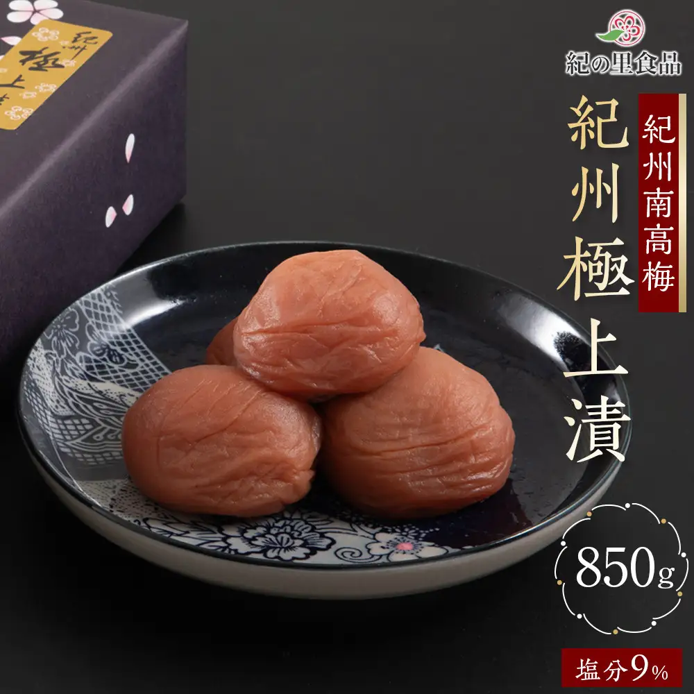 紀州南高梅 紀州極上漬 850g×1箱 ［Kn1］