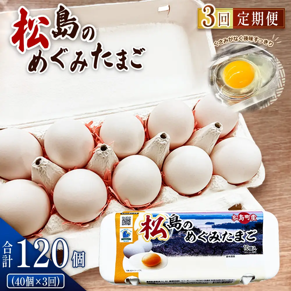 松島のめぐみたまご　40個入り　3ヵ月定期便 No.163