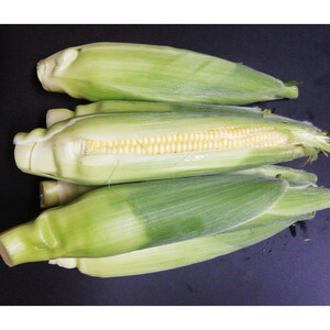 とうもろこし ゴールドラッシュ 5本