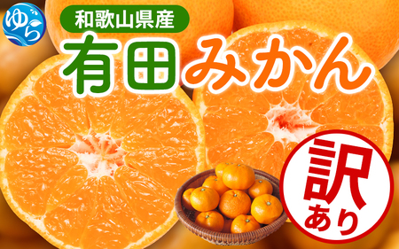 家庭用 有田 みかん サイズ混合(2S～2L) 1kg+250g  ※11月発送(完熟)  / 温州みかん 有田みかん 訳あり 甘い 光センサー選果 果物 柑橘 和歌山 ※北海道・沖縄・離島への配送不可 【ikd004-cm-1-nov】