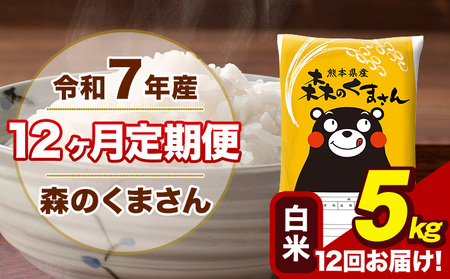令和7年産 【12ヶ月定期便】森のくまさん 白米 5kg 5kg×1袋 計12回お届け《お申込み翌月から出荷》 お米 こめ 熊本県産 ご飯 備蓄