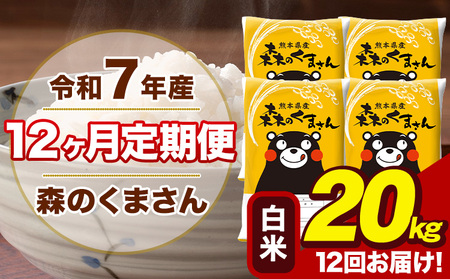 令和7年産【12ヶ月定期便】森のくまさん 白米 20kg 5kg×4袋 計12回お届け《お申込み翌月から出荷》 お米 こめ 熊本県産 ご飯 備蓄