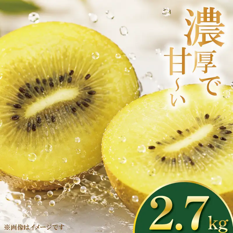 訳あり ゴールドキウイ 先行予約 約2.7kg 2026年11月上旬～発送 キウイ