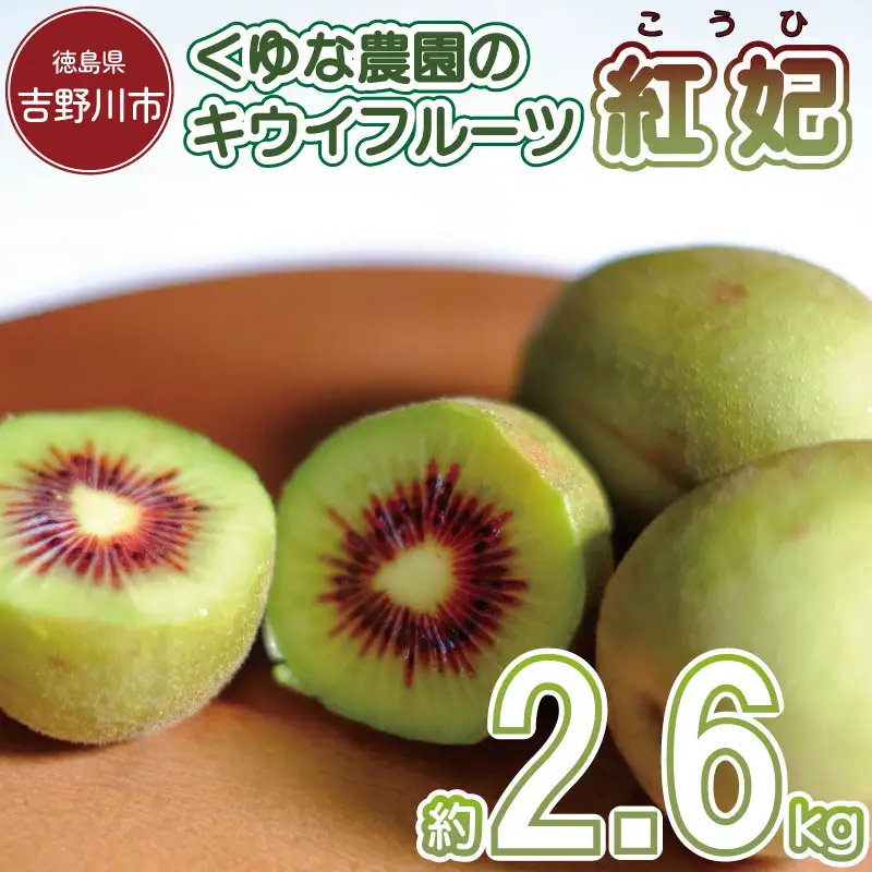 訳あり キウイフルーツ 紅妃 2.6kg 先行予約 2026年10月上旬～ キウイ