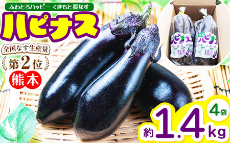 ハピナス 玉名市産 長なす 約 1.4㎏（300ｇ～400ｇ×4袋）｜ 野菜 やさい 茄子 なすび とげ無 種少 薄皮 季節野菜 袋詰め 小分け 熊本県 玉名市