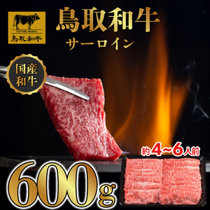 DN-15 鳥取和牛 サーロイン しゃぶしゃぶ・すき焼き 600g（300g ×2P）